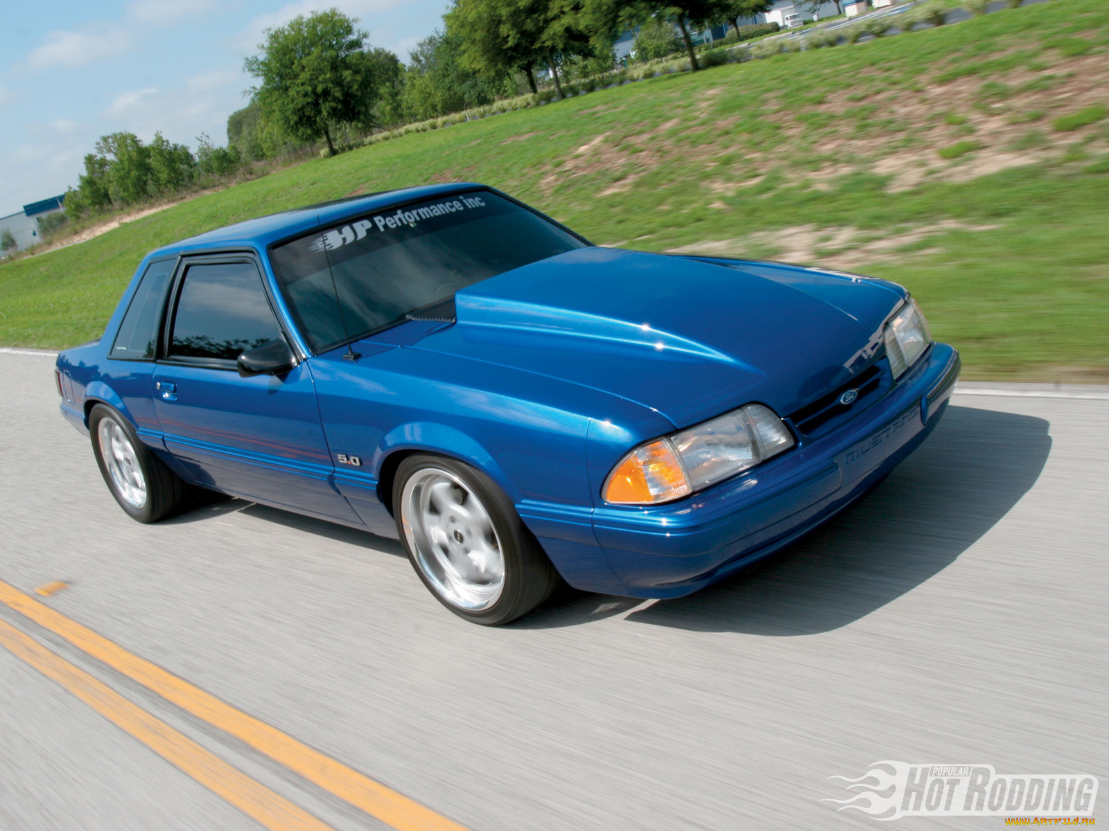 , mustang
